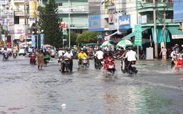 ĐBSCL: lũ và triều cường gây ngập lúa, ngập đường