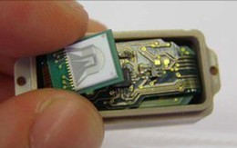 Vi mạch kiểm soát sự phát triển của khối u