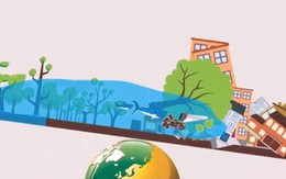 "Phim xanh" không xa lạ