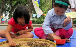 Trò chơi Việt trong không gian xanh