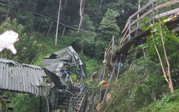 Chuyển viện 2 nạn nhân vụ cây đổ ở Đà Lạt