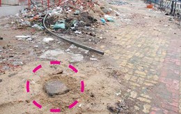 Chặt trộm cây xanh?