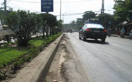 "Vồng khoai" trên đường