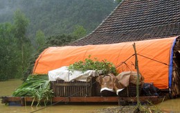 Thoát hiểm nhờ nhà bè và lán chống lũ