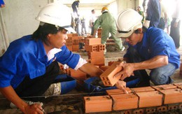Công nhân tranh tài xây dựng