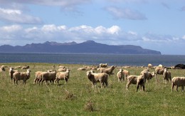 Khám phá Tasmania