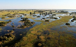 Botswana: máy bay rơi, 8 người chết