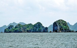Tiệc cá trên biển Tây