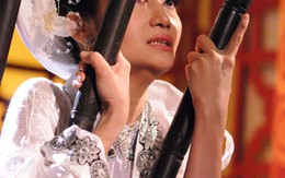 Mặt trời vườn Lệ Chi