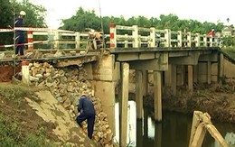 Những cây cầu... rung rinh