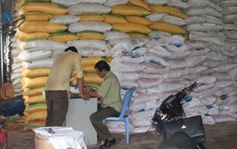 Vụ sản xuất phân bón dỏm ở TP.HCM: Chuyển công an xử lý
