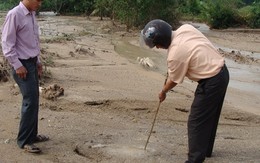 Họa cát bồi