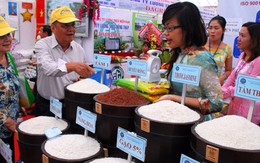 Nâng cao giá trị gạo Việt