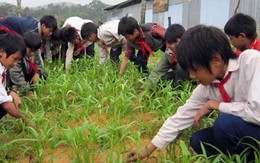 Kon Tum xây 59 trường bán trú dân nuôi