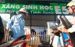 Xăng sinh học ế