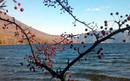 Mộng mơ hồ Nikko