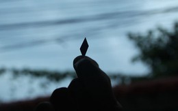 Nhiều nạn nhân tố "đinh tặc"