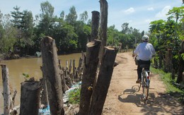 Cọc chống lũ thành bẫy chông