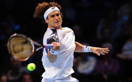 Thắng Djokovic, David Ferrer vào bán kết