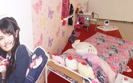 Lạc bước vào thế giới ước mơ