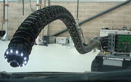 Robot rắn trong nhà máy hạt nhân
