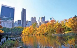 Mùa đẹp nhất ở New York