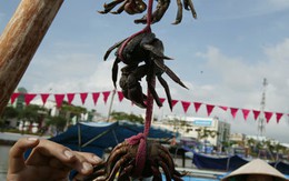 "Mai này ai nhớ hội ba khía"