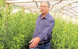 Đưa Đà Lạt đi xa