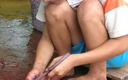 Về thăm chợ chuột