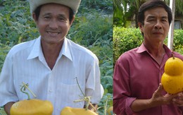 Dưa hồ lô - hàng mới miệt vườn