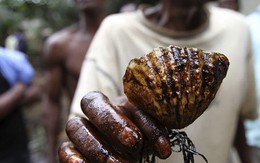 Cơn thủy triều đen ở Nigeria