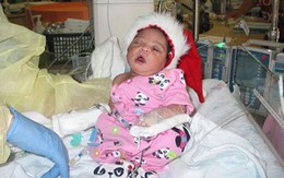 Sống sót kỳ diệu của Baby Noel