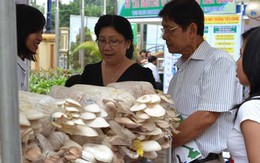 Khai mạc Tuần lễ công nghệ và môi trường VN lần 1