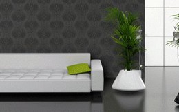 Bài trí cây cảnh trong nhà