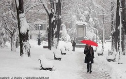 Bắc nhịp trái tim kỳ 155: Góc phố mùa đông