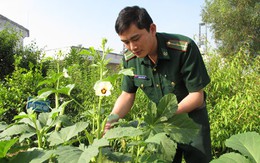 Chàng chiến sĩ... tăng gia