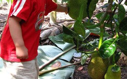 Đừng "ủ" con quá kỹ