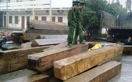 Thu giữ hơn 10m3 gỗ và 350kg tê tê