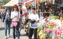 Hội hoa hay chợ hoa?