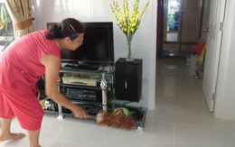 Tạo cái nhìn mới về nhà tái định cư