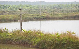 Huyện Tiên Lãng phải thừa nhận mình sai