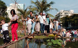 Giữ sức vui xuân