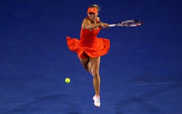Có một nghệ sĩ ba lê Wozniacki