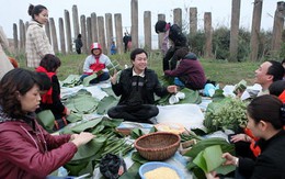 Xuân về trên bãi sông Hồng