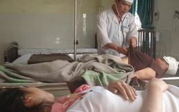 Xe khách tông nhau, 3 người chết