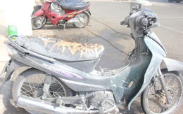 TP.HCM: một buổi sáng, hai vụ cháy xe