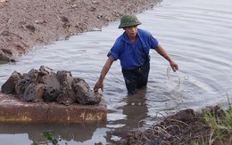 Mở đất từ bãi bồi lấn biển