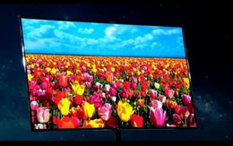 Samsung từ bỏ LCD, tiến lên OLED