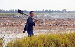 Người đi mở đất