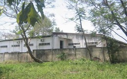 Xin đất công để cho thuê